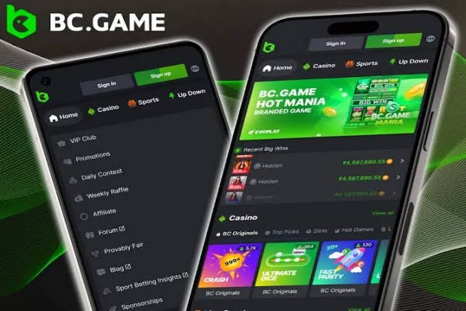 Exploring the Exciting World of BC.Game Online Casino