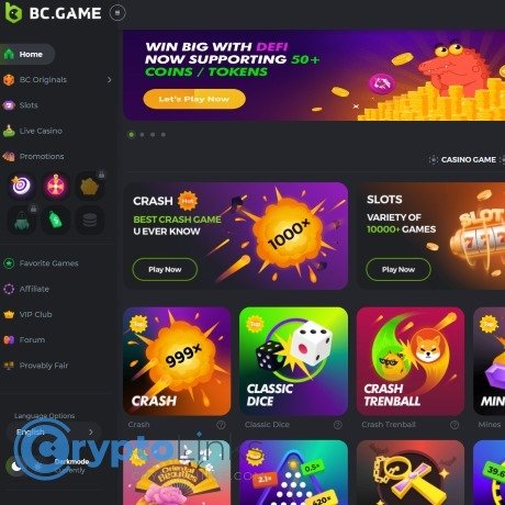 Understanding the Privacy Policy of BC.Game India -663013495