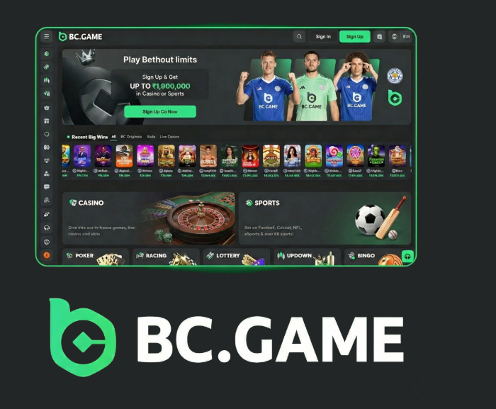 Understanding the BC.Game Login Process A Step-by-Step Guide -279195572